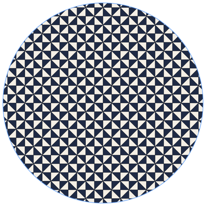Euclidean tiling by the (2,4,4) triangle group